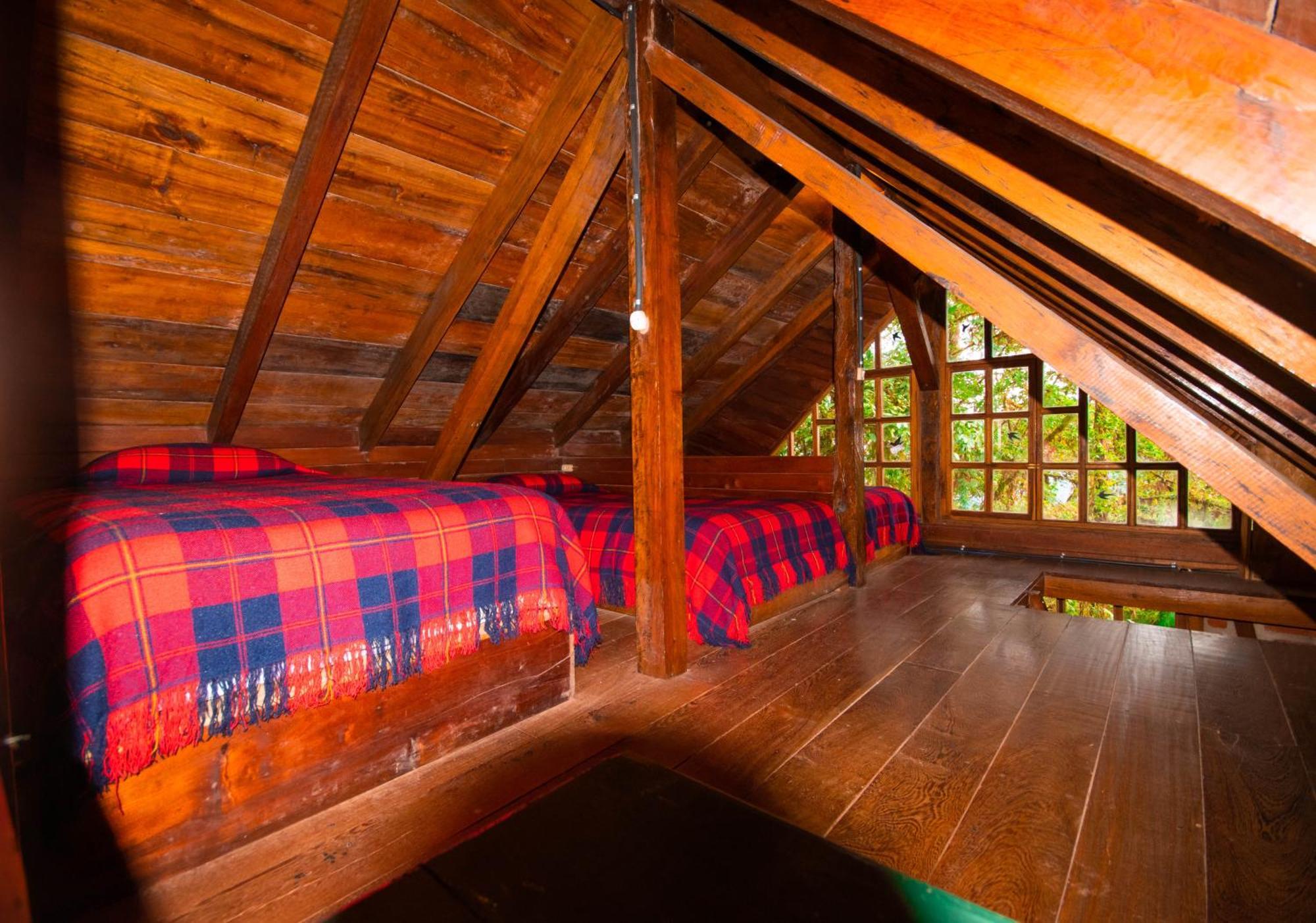 Bellavista Cloud Forest Lodge & Private Protected Area Tandayapa Zewnętrze zdjęcie