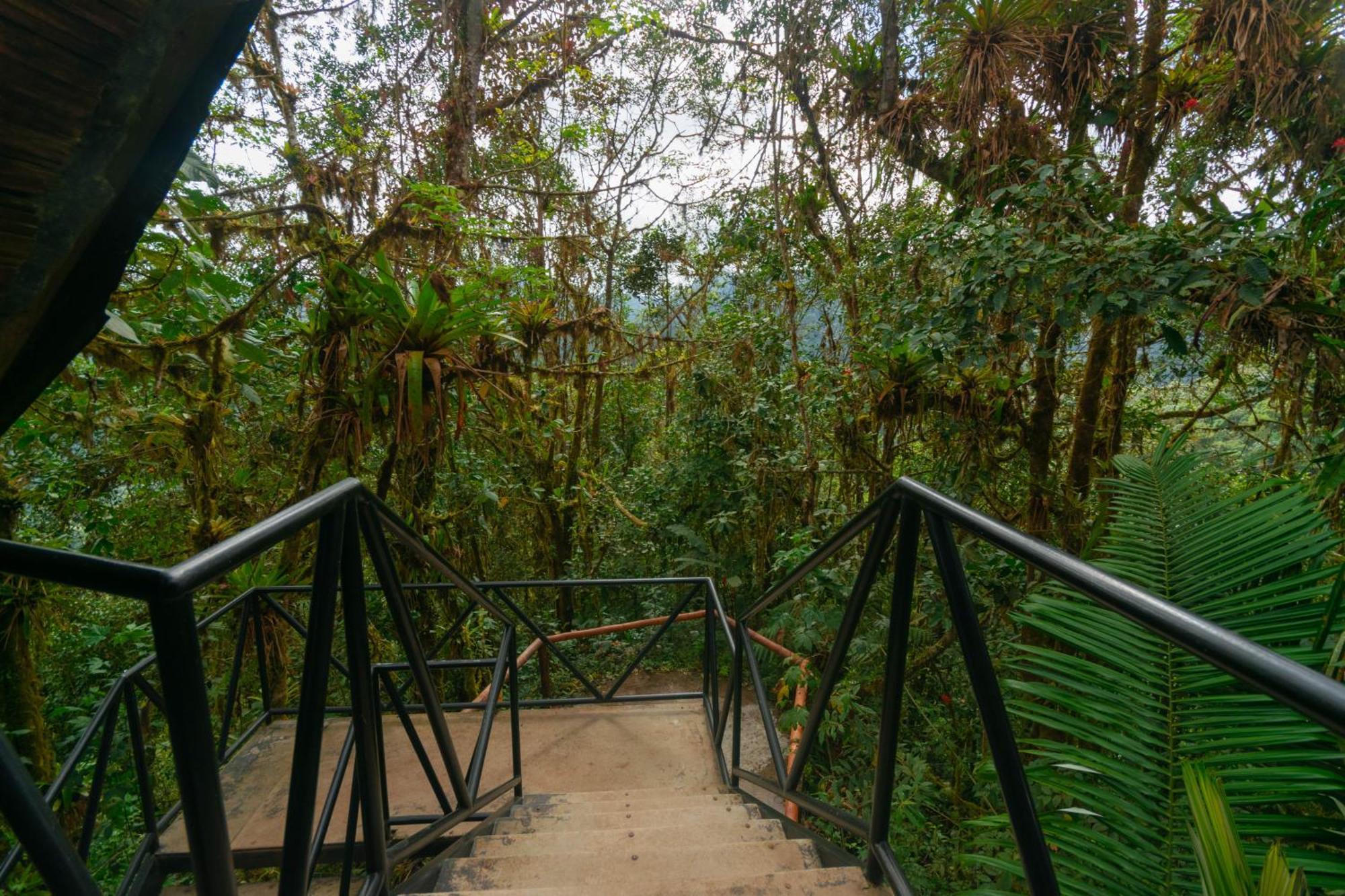 Bellavista Cloud Forest Lodge & Private Protected Area Tandayapa Zewnętrze zdjęcie