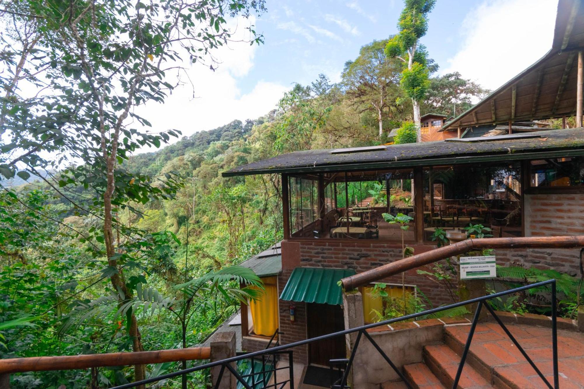 Bellavista Cloud Forest Lodge & Private Protected Area Tandayapa Zewnętrze zdjęcie