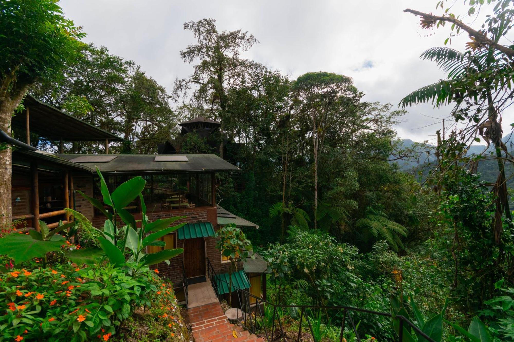 Bellavista Cloud Forest Lodge & Private Protected Area Tandayapa Zewnętrze zdjęcie
