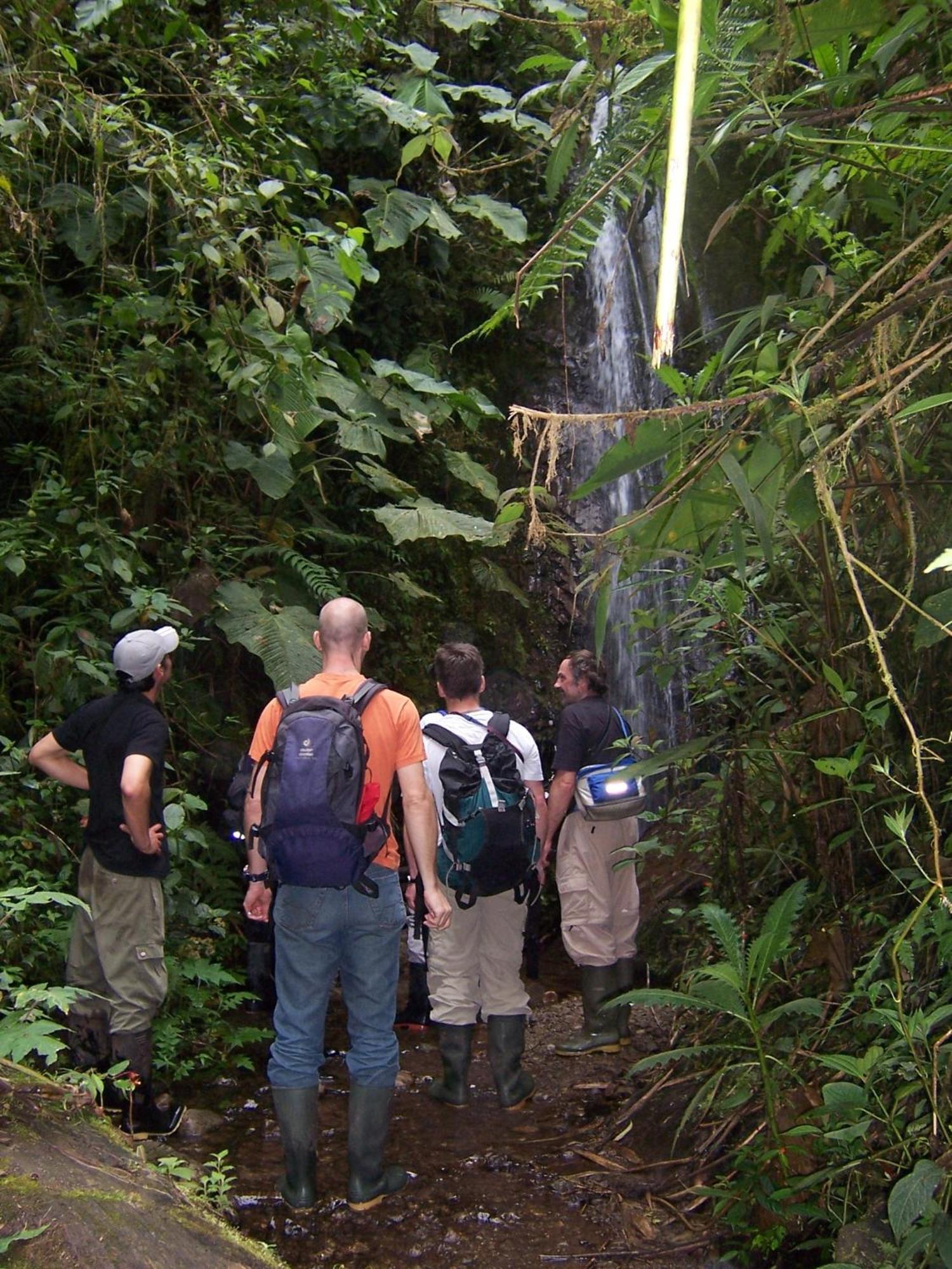 Bellavista Cloud Forest Lodge & Private Protected Area Tandayapa Zewnętrze zdjęcie