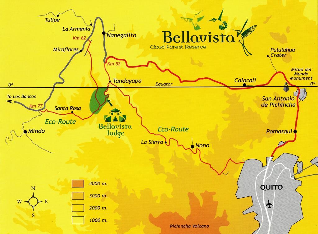 Bellavista Cloud Forest Lodge & Private Protected Area Tandayapa Zewnętrze zdjęcie
