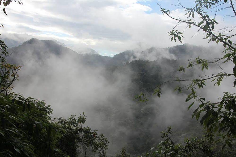 Bellavista Cloud Forest Lodge & Private Protected Area Tandayapa Zewnętrze zdjęcie