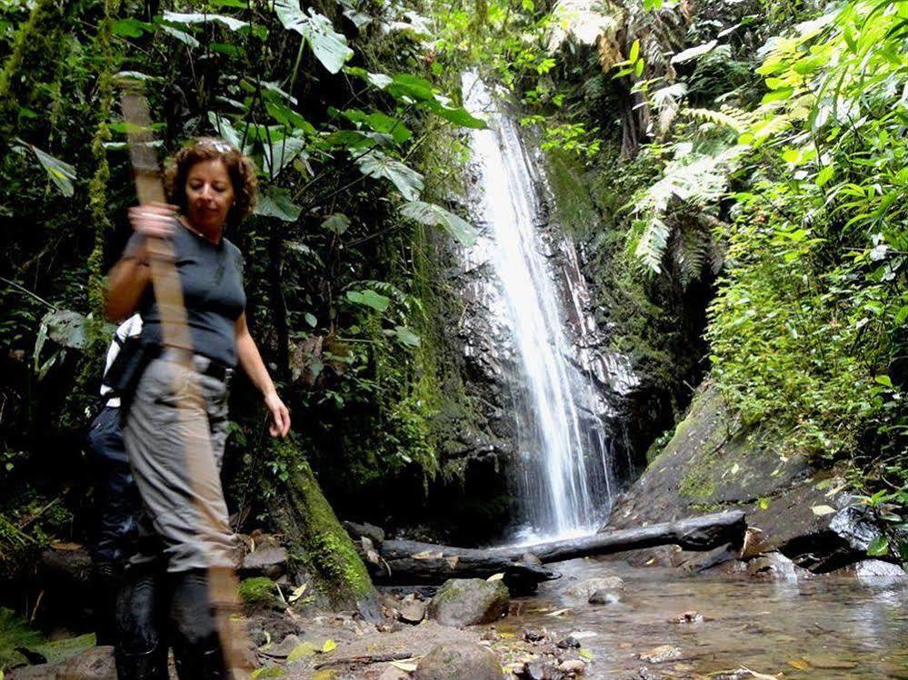 Bellavista Cloud Forest Lodge & Private Protected Area Tandayapa Zewnętrze zdjęcie