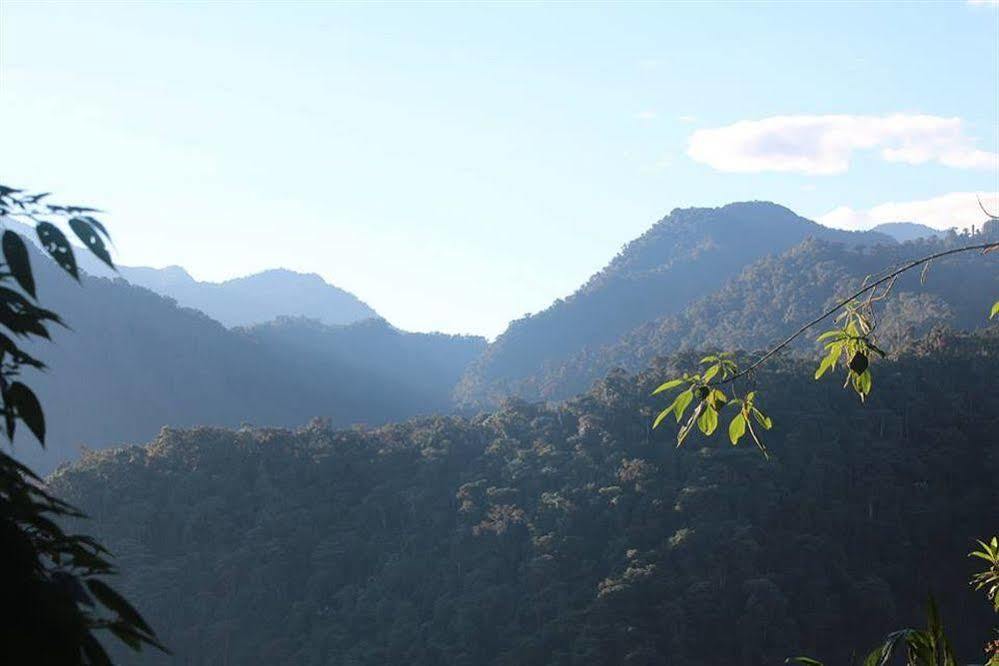 Bellavista Cloud Forest Lodge & Private Protected Area Tandayapa Zewnętrze zdjęcie